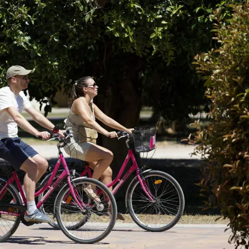 Día Mundial de la Bicicleta ,Redes sociales