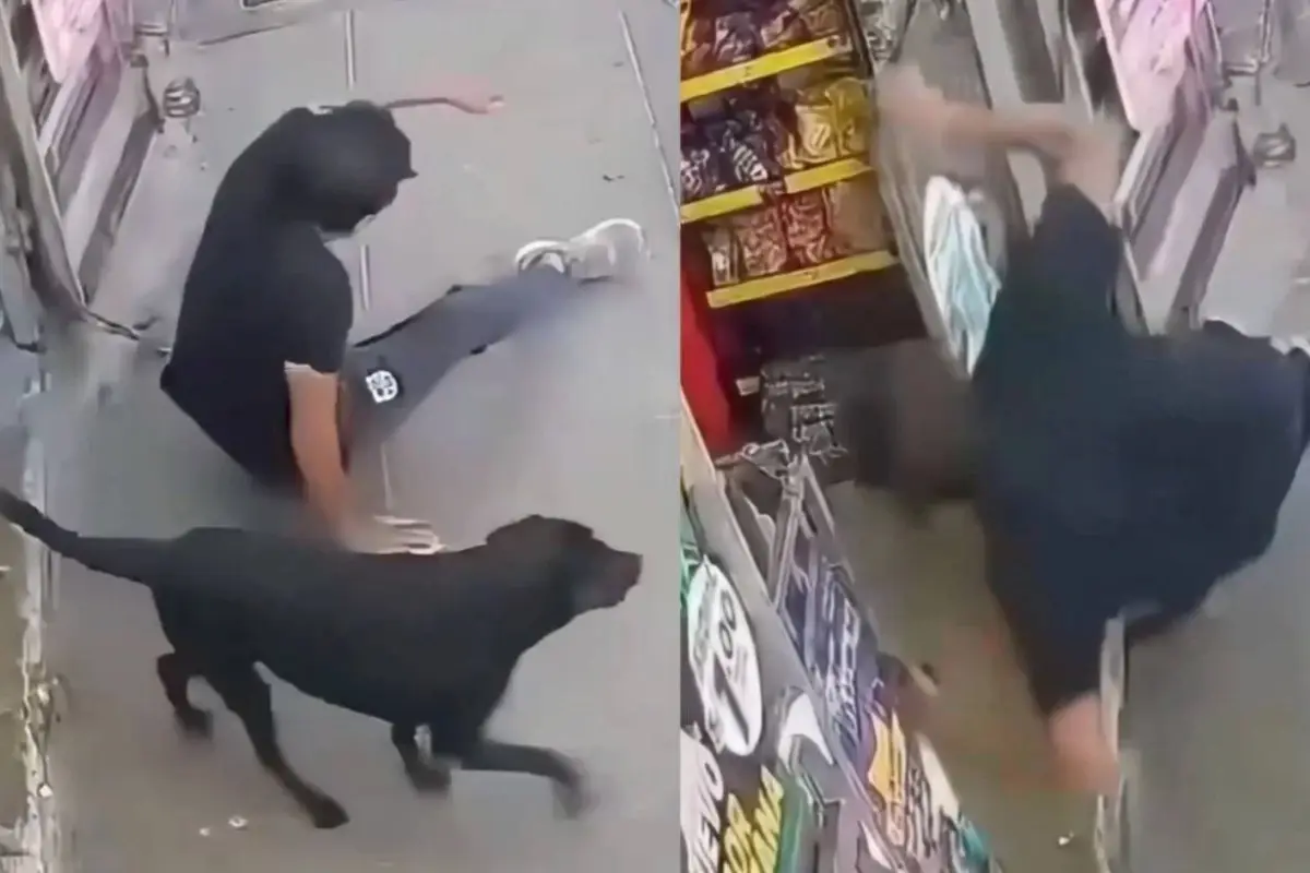 El inesperado accidente que tiene a miles comentando en redes sociales., Captura de pantalla video de X.