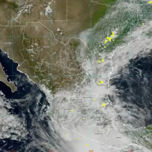Se forma la tormenta tropical Boris, junio 2026 ,CONAGUA