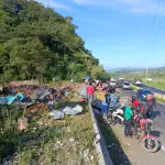 Ruta a El Salvador: Un carril cerrado tras volcar tráilert