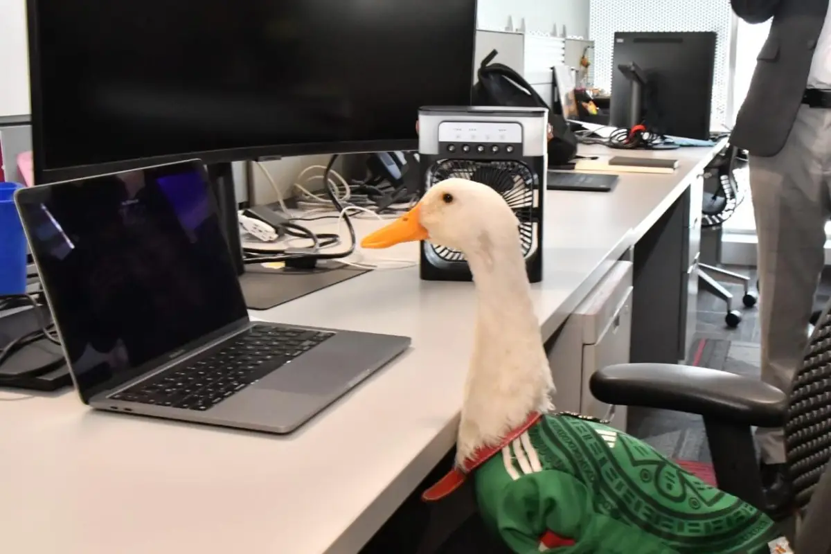 Autoridades otorgan el registro de la marca "Pato Merlín" a su propietaria en México, @SE_mx