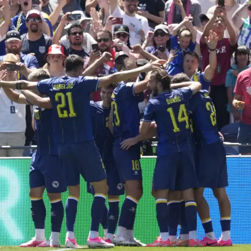 Jugadores de Bosnia y Herzegovina celebran gol ante Catar 