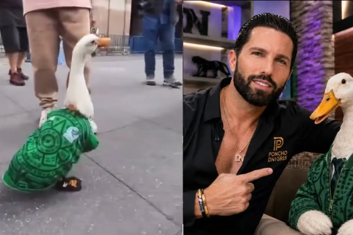 Poncho de Nigris Pato Merlín, Redes sociales