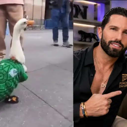Poncho de Nigris Pato Merlín ,Redes sociales