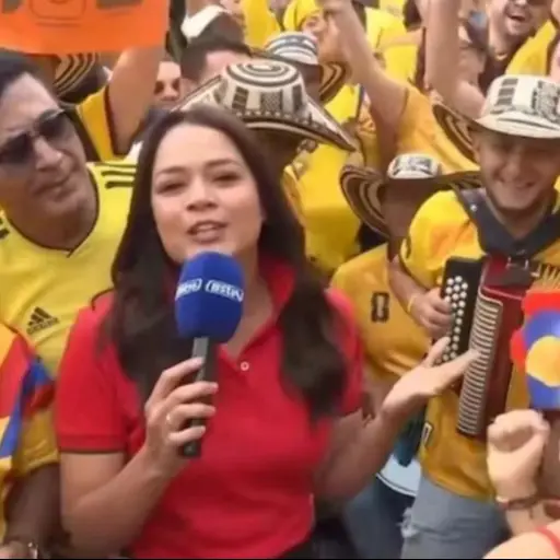 Periodista acoso ,Redes sociales
