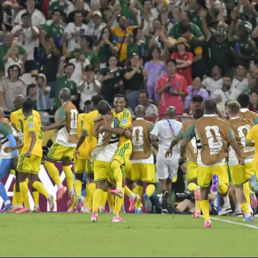 Celebración de gol de Sudáfrica ante Corea del Sur 