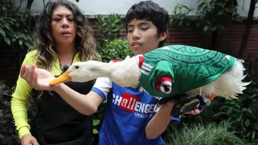 ¡Gol legal! El pato Merlín queda registrado