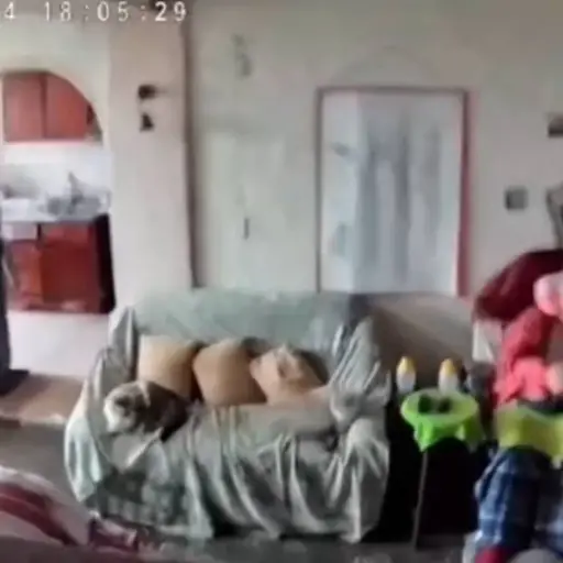 Venezuela ,X
