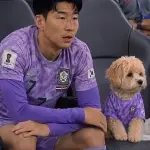¿Un perro acompaña a Corea del Sur en el Mundial 2026? La verdad detrás del video que se hizo viralt