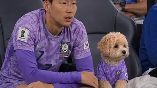 ¿Un perro acompaña a Corea del Sur en el Mundial 2026? La verdad detrás del video que se hizo viral