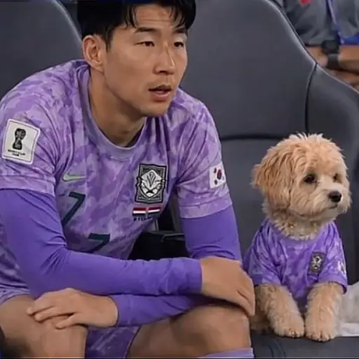 Perro Corea del Sur ,Redes sociales