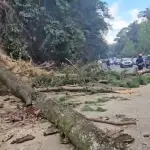 Motorista gravemente herido tras derrumbe en ruta Interamericanat
