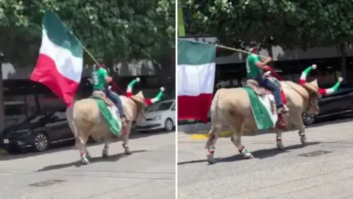 ¡Siguen las celebraciones! Aficionado recorre las calles de México montado en un toro 