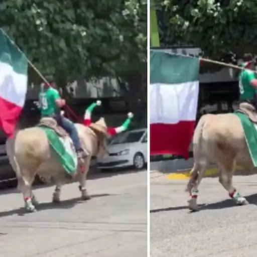Toro - Selección de México ,Redes sociales