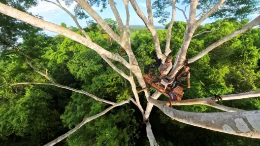Documental guatemalteco es nominado a uno de los premios de naturaleza más prestigiosos del mundo