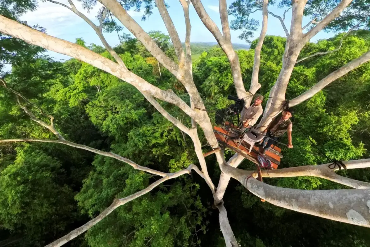 Selva Maya en Jaque, Foto cortesía