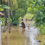 Fray Bartolomé de las Casas en alerta roja por inundacionest