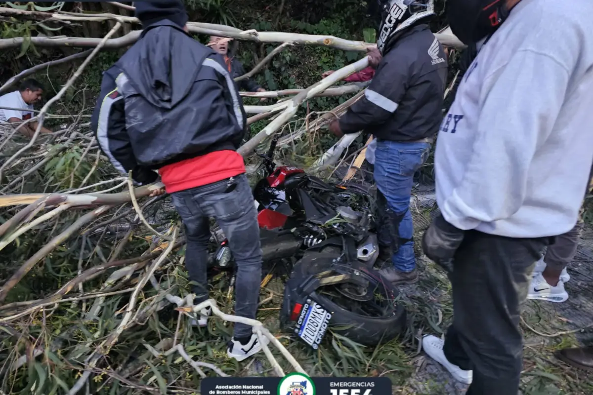 Un árbol cayó sobre dos personas que viajaban en una motocicleta., Foto Bomberos Municipales Departamentales