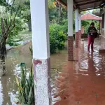 Advierten riesgos por saturación de suelos en Livingston, Izabalt