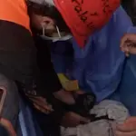 Tres semanas bajo los escombros: rescatistas encuentran con vida a un gato en Venezuelat