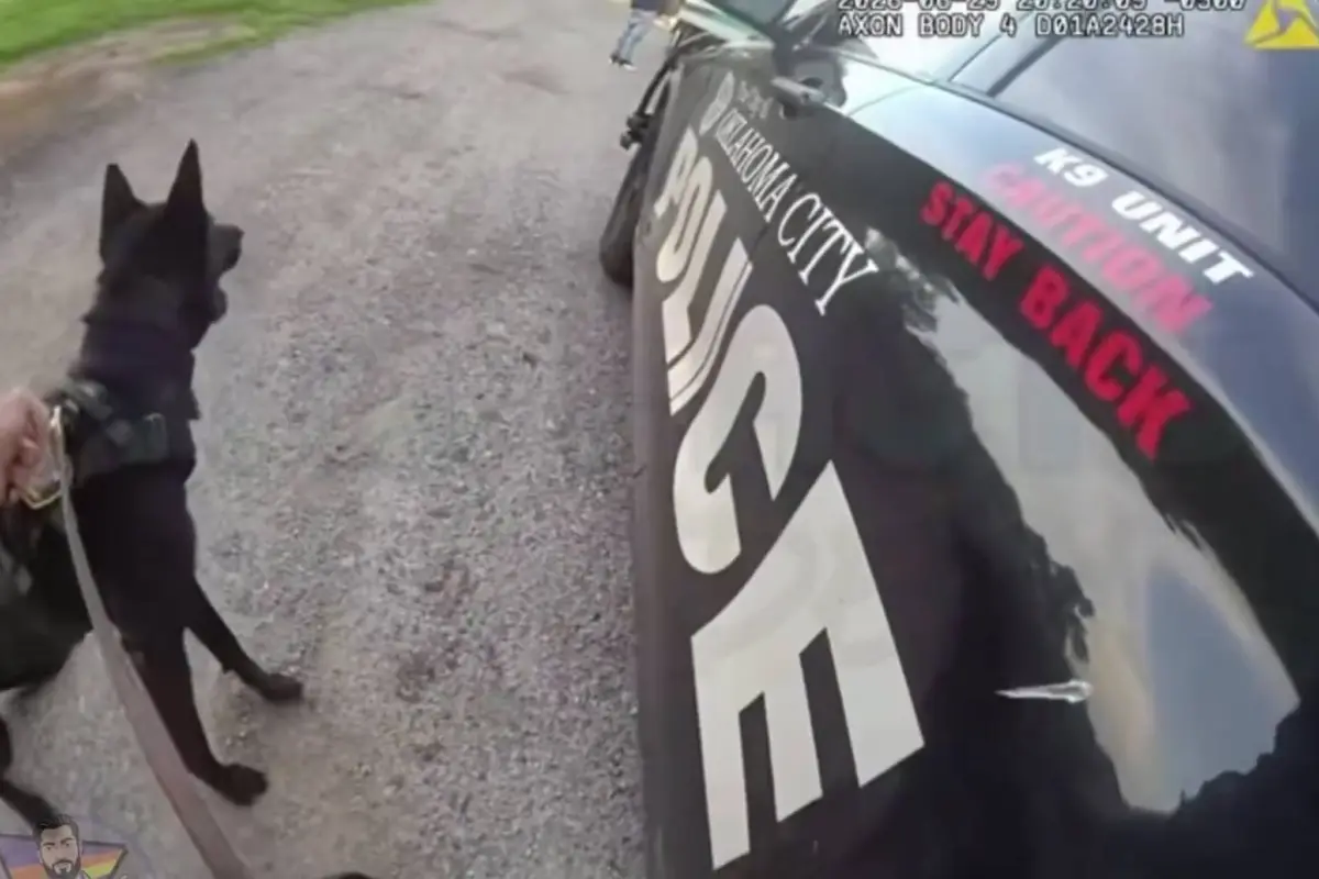 Agente K-9 arrastrado por camión, Captura de video