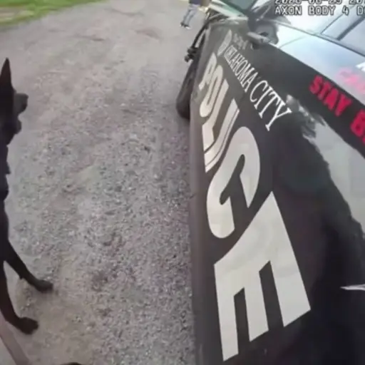 Agente K-9 arrastrado por camión ,Captura de video