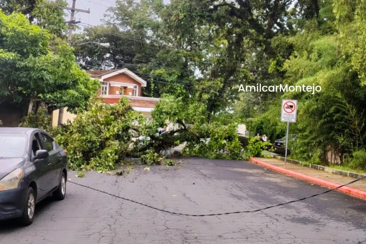 ., PMT capitalina/Montejo