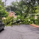 . ,PMT capitalina/Montejo