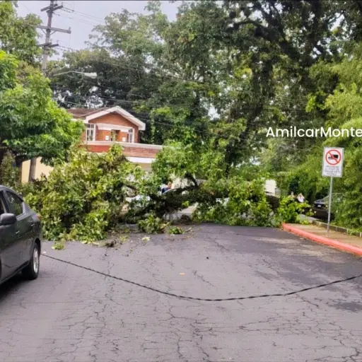 . ,PMT capitalina/Montejo