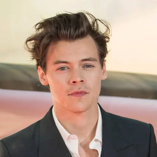 Harry Styles ,Instagram