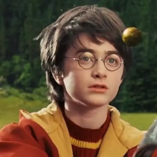 Harry Pottere ,Redes sociales