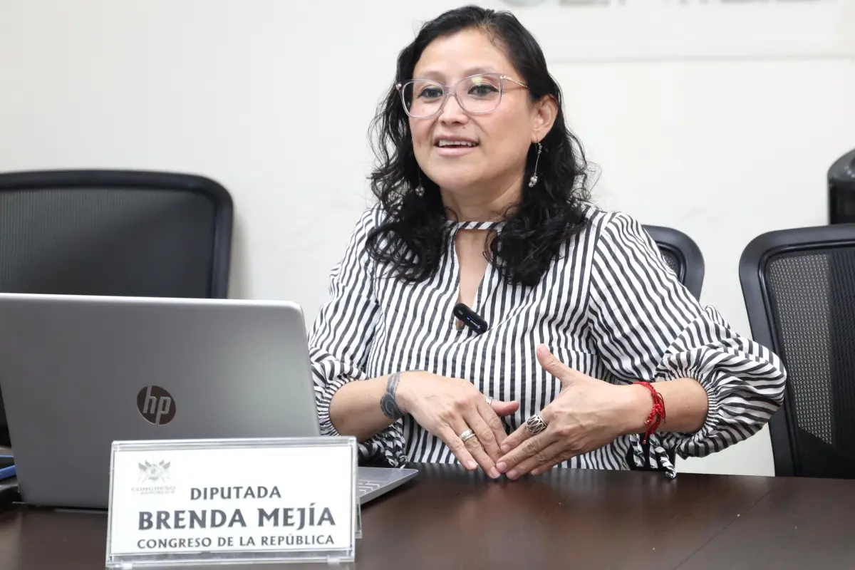 La diputada Brenda Mejía apareció en un video presentando una nueva denuncia por el caso USAC., Congreso de la República.