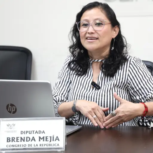 La diputada Brenda Mejía apareció en un video presentando una nueva denuncia por el caso USAC. ,Congreso de la República.