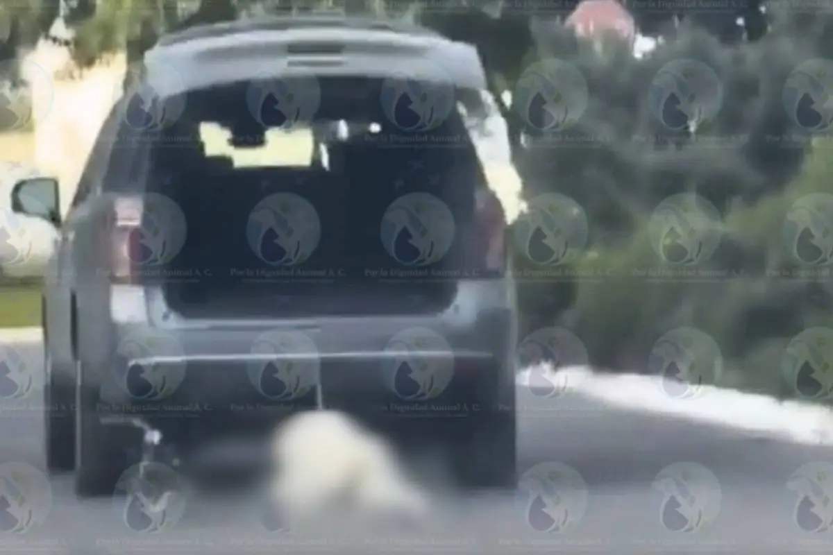 Mujer atropella y arrastra a su perro., Redes sociales. 