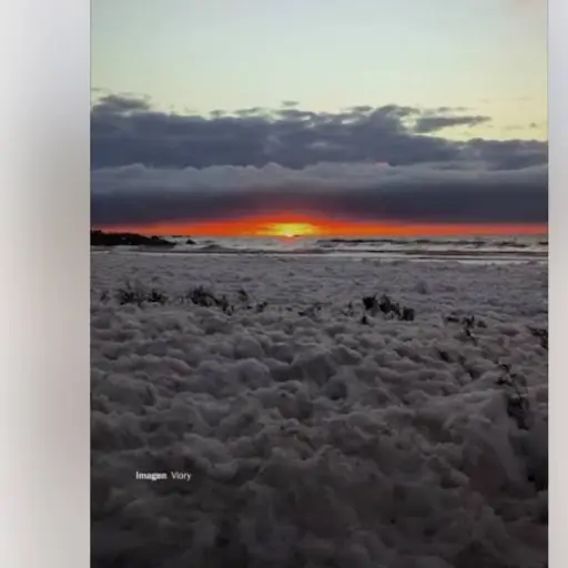 Espuma marina en Chile ,Captura de video
