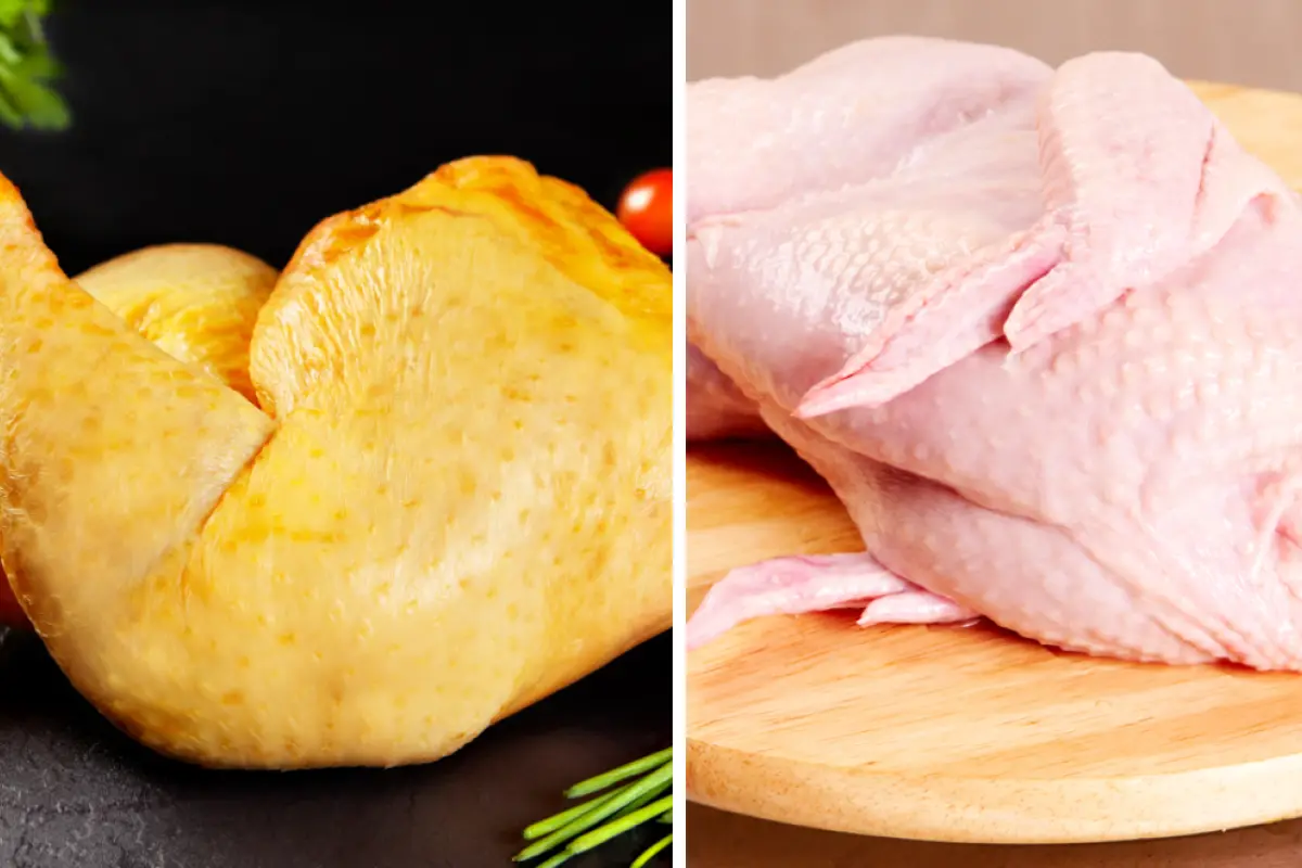 Pollo, Pollo