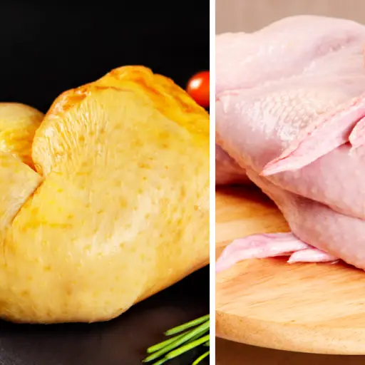 Pollo ,Pollo