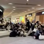 Videos captan el momento exacto del terremoto de magnitud 7.1 que sacudió Japónt