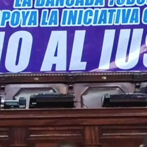 Reformas al IUSI ,Omar Solís