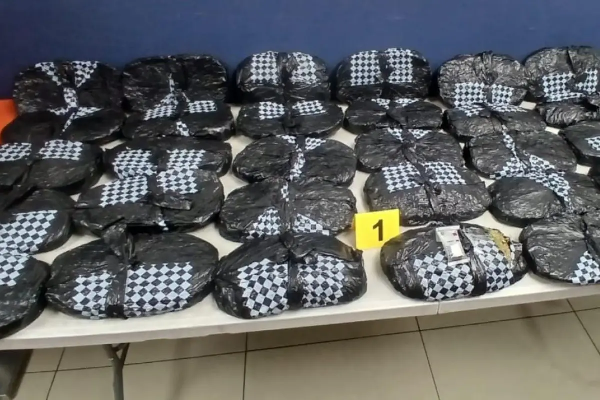 Parte de la droga fue localizada en una bodega de encomiendas procedente de EE.UU., PNC