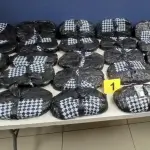 Parte de la droga fue localizada en una bodega de encomiendas procedente de EE.UU. ,PNC