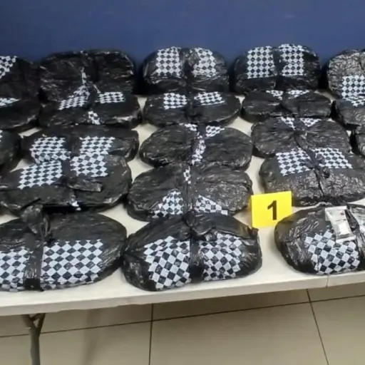 Parte de la droga fue localizada en una bodega de encomiendas procedente de EE.UU. ,PNC