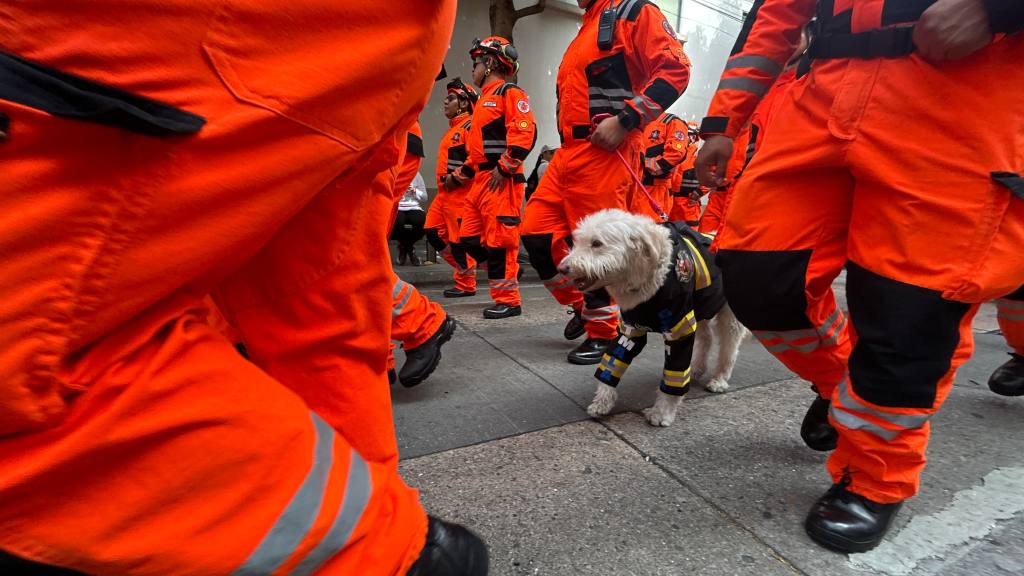 Bomberos Voluntarios celebran desfile por su 75 aniversario | Omar Solis