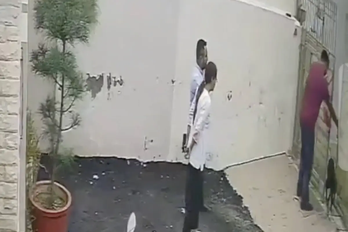 Pareja termina herida tras ataque de un pitbull., Captura de pantalla video de X.
