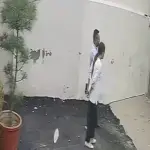Pareja termina herida tras ataque de un pitbull. ,Captura de pantalla video de X.