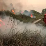 Fenómeno de El Niño ,EFE