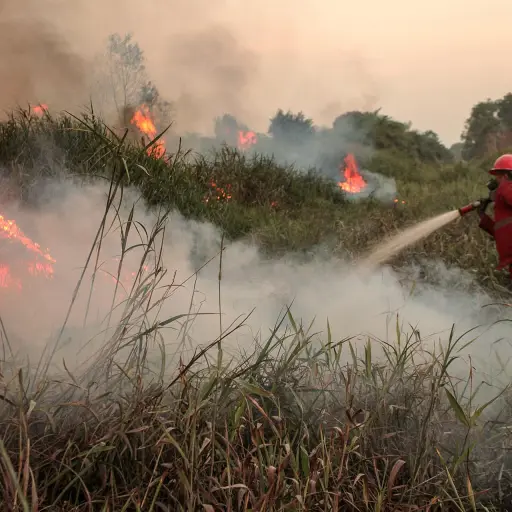 Fenómeno de El Niño ,EFE