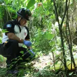 . ,Bomberos Voluntarios