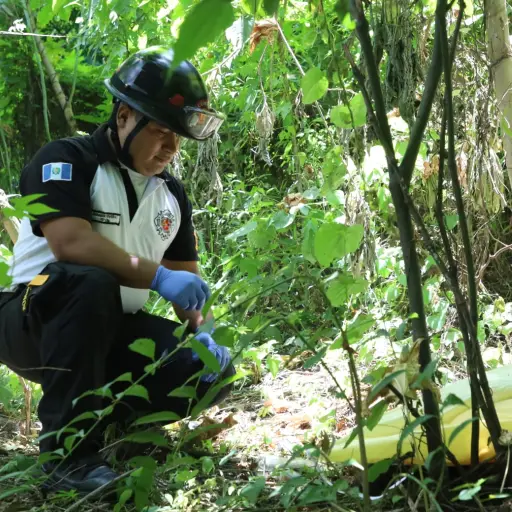 . ,Bomberos Voluntarios