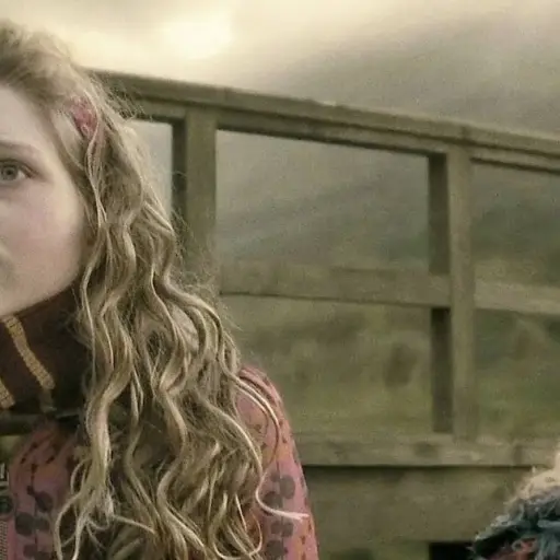 Harry Potter ,Harry Potter